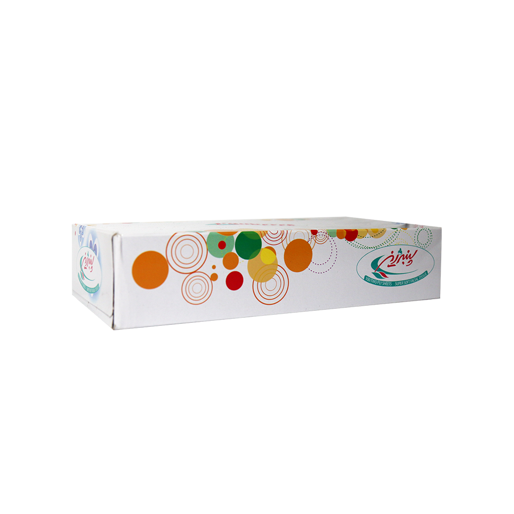 Panberes-Super-Soft-Facial-Tissue-100-Two-Ply-Sheets.png دستمال کاغذی جعبه ای ۱۰۰ برگ دولا پنبه ریز - Image 1