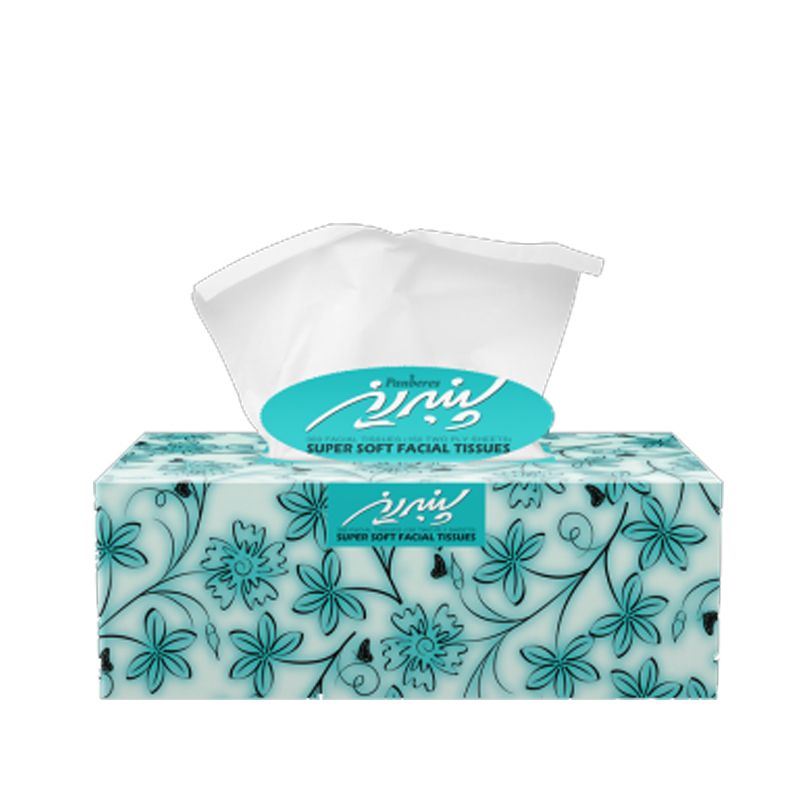 Panberes-Super-Soft-Facial-Tissue-150-Two-Ply-Sheets.jpeg دستمال کاغذی جعبه ای ۱۵۰ برگ دولا پنبه ریز - Image 1